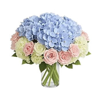 Serene Petal Harmony