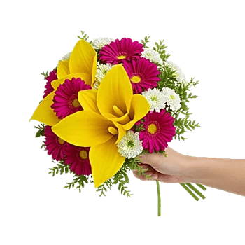 Elegant Calla Lilies