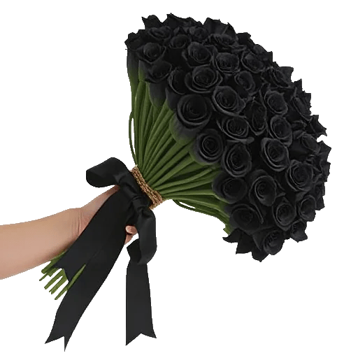 Elegant Calla Lilies