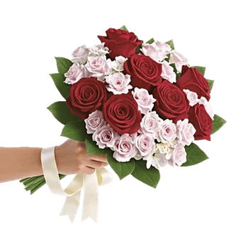Crimson Rose Elegance