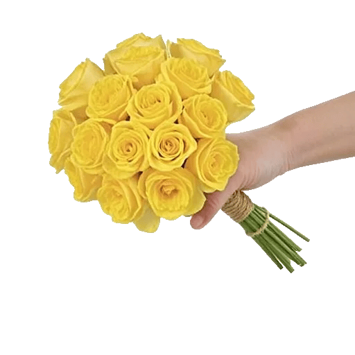 Delicate Petal Cascade