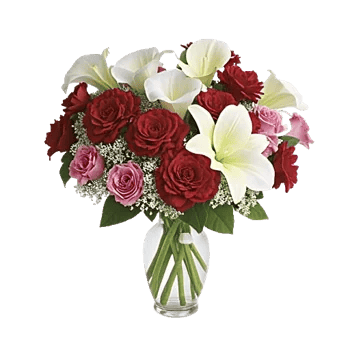 Elegant Calla Lilies