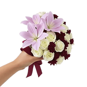 Blushing Rose Symphony