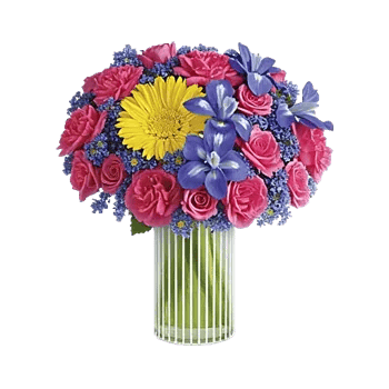 Petal Radiance Bliss