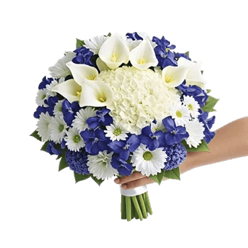 Ivory Garden Grace