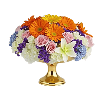 Golden Petal Harmony