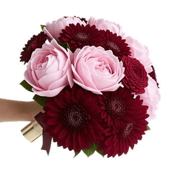 Peony Petal Harmony