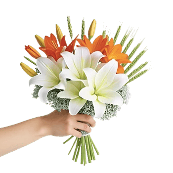 Graceful Lily Display