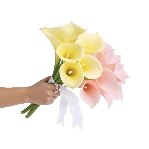 Elegant Calla Lilies