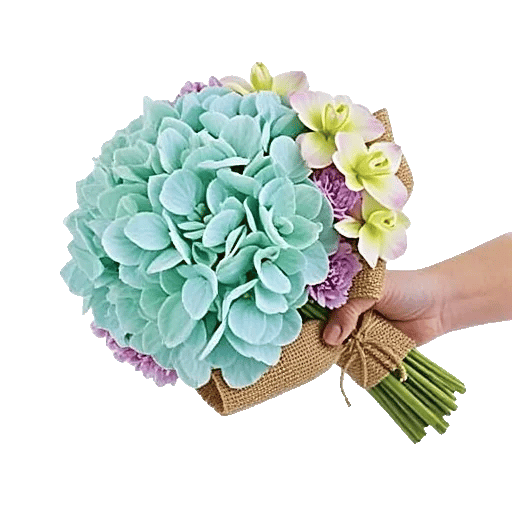 Sapphire Bloom Whisper