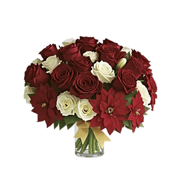 Radiant Rose Symphony