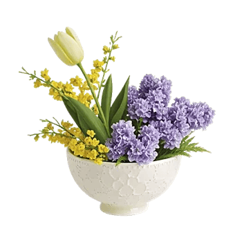 Blossom Harmony Display