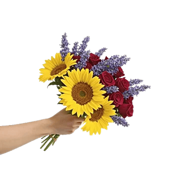 Twinkling Sunflower Dance