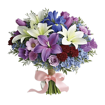 Blossom Petal Serenity