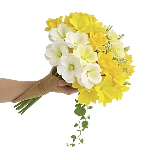Ivory Garden Grace