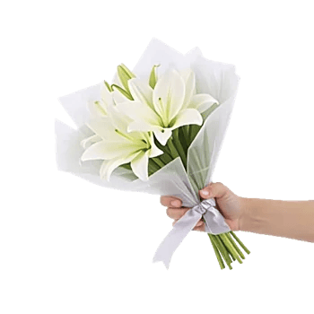 Minimalist White Orchids