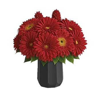 Crimson Blossom Harmony