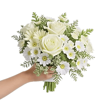 Ivory Garden Grace