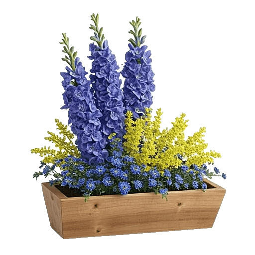 Serenity Blossom Grace