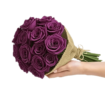 Crimson Rose Elegance