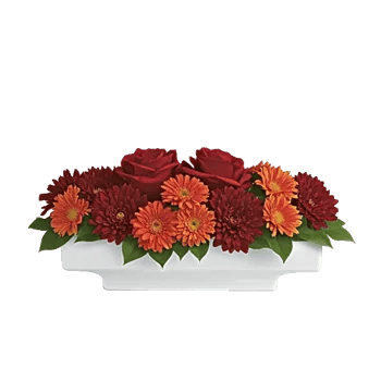 Crimson Blossom Harmony