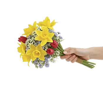 Blossom Harmony Display