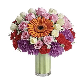 Petal Radiance Bliss