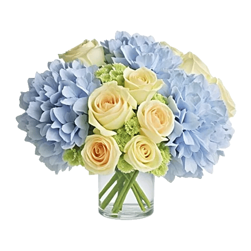 Sapphire Bloom Whisper