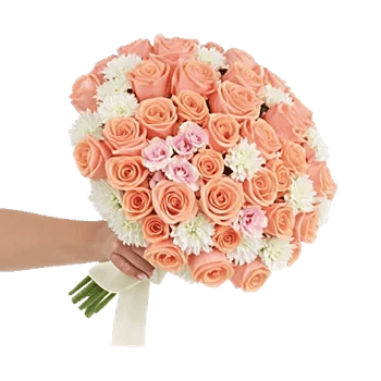 Blushing Rose Symphony