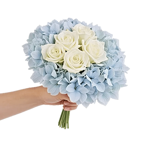 Serene Petal Harmony