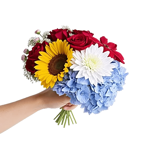 Serene Petal Harmony