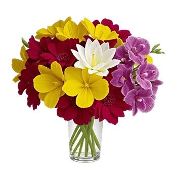 Petal Radiance Bliss