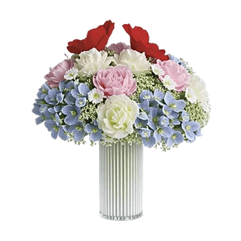 Ivory Blossom Radiance