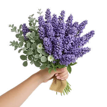 Lavender Bloom Grace