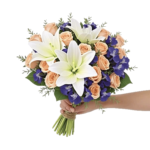 Blossom Harmony Display