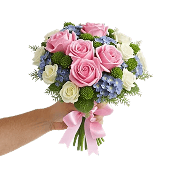 Pink Pastel Roses