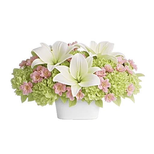 Graceful Lily Display