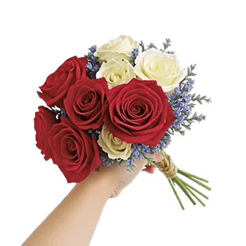 Crimson Rose Elegance