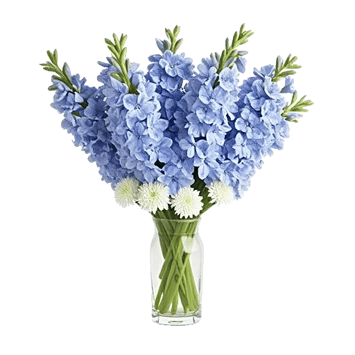 Serenity Blossom Grace