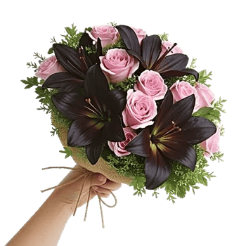 Pastel Pink Roses