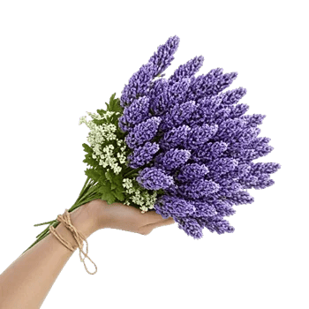 Lavender Bloom Grace
