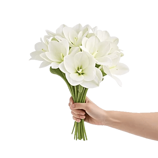 Modern White Orchids