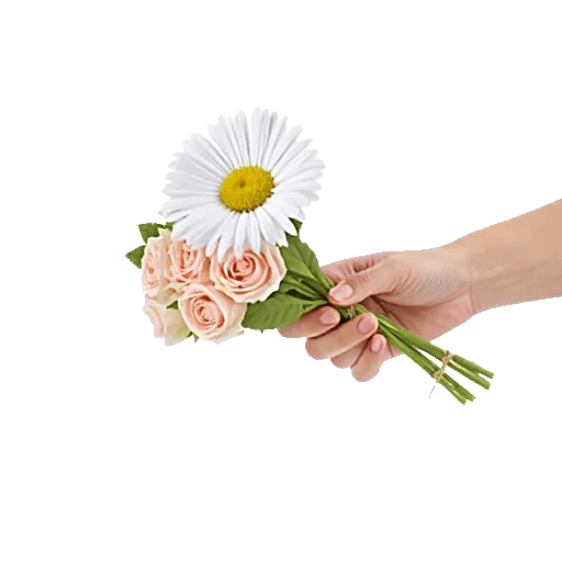 Enchanting Daisy Garden