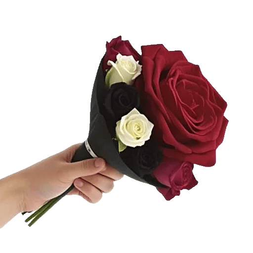 Crimson Rose Elegance