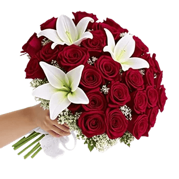 Crimson Rose Elegance