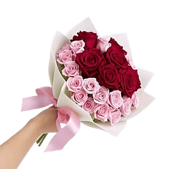 Crimson Rose Elegance