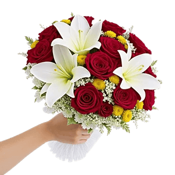 Crimson Rose Elegance