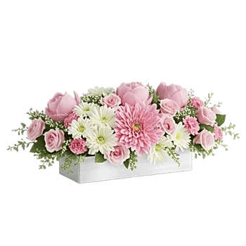 Delicate Petal Cascade