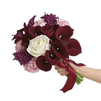 Blushing Rose Symphony