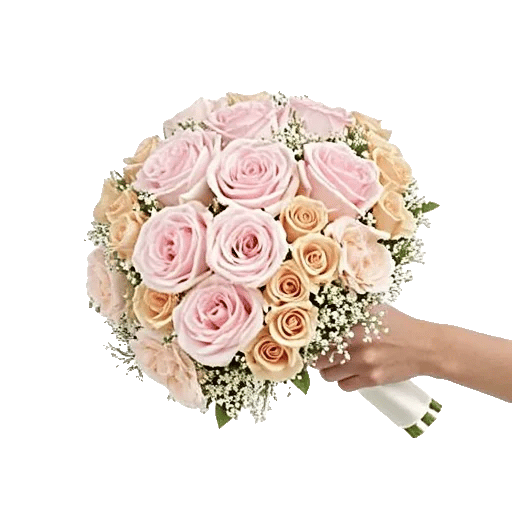 Pastel Pink Roses